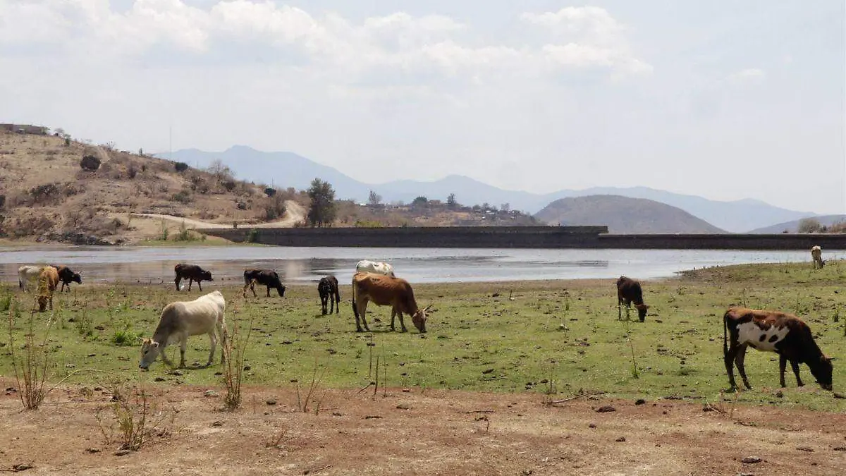 Campo_sequia en Mexico